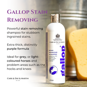Carr & Day & Martin Gallop Stain Removing Shampoo