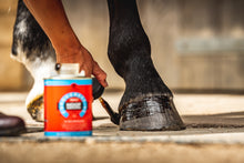 Load image into Gallery viewer, Carr &amp; Day &amp; Martin Cornucrescine Daily Hoof Dressing