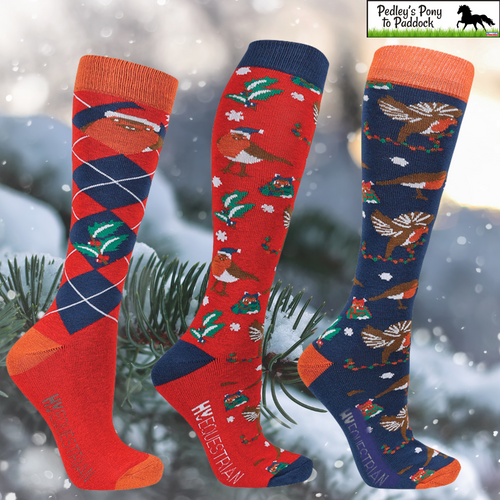 Ruby the Robin Christmas Socks (Pack of 3)