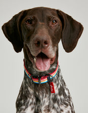 Load image into Gallery viewer, Joules Rainbow Stripe Dog Collar