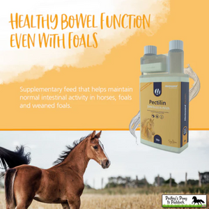 Hestevard Pectilin 1L