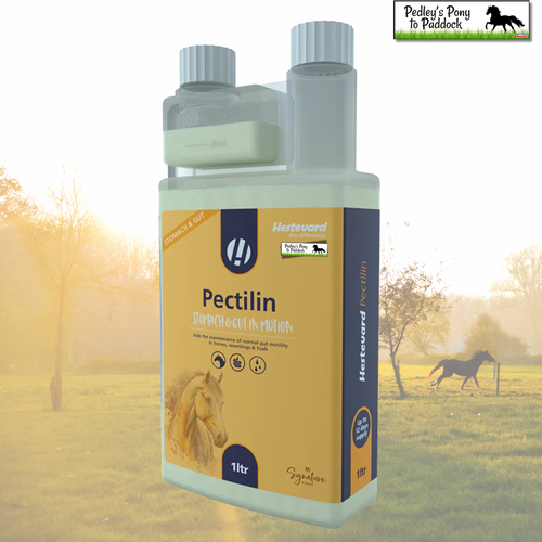 Hestevard Pectilin 1L