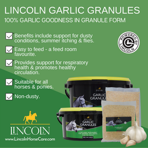 Lincoln Garlic Granules 1kg