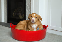 Load image into Gallery viewer, Red Gorilla Large Shallow Tub