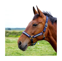 Load image into Gallery viewer, Hy Equestrian Mystic Head Collar