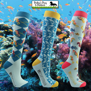 Shanti Seahorse Socks (Pack of 3)