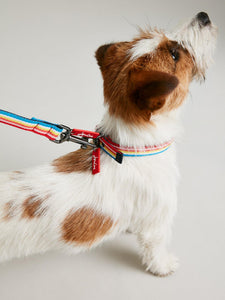 Joules Rainbow Stripe Dog Collar