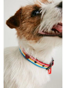 Joules Rainbow Stripe Dog Collar