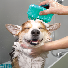 Load image into Gallery viewer, Kong Zoom Groom Bubbles