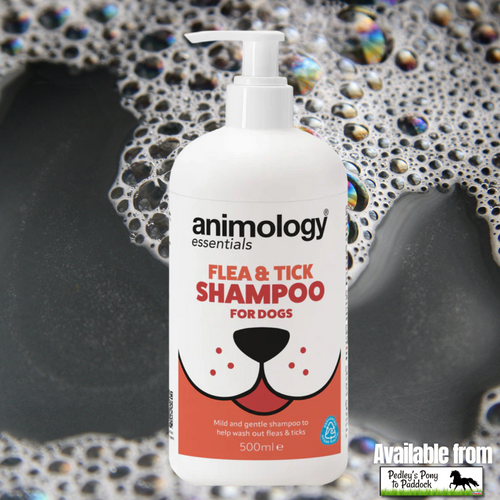 Animology Essentials Flea & Tick Shampoo 500ml