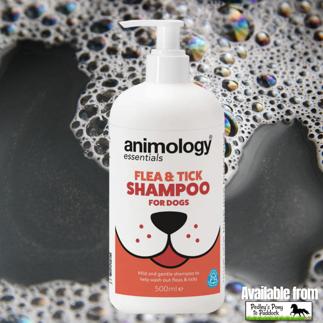 Animology Essentials Flea & Tick Shampoo 500ml
