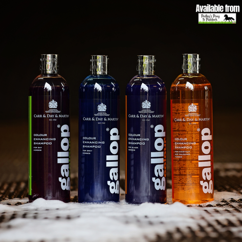 Carr & Day & Martin Gallop Colour Enhancing Shampoo