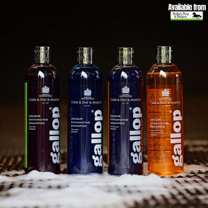 Carr & Day & Martin Gallop Colour Enhancing Shampoo