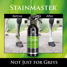 Load image into Gallery viewer, Carr &amp; Day &amp; Martin Stain Master