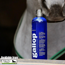 Load image into Gallery viewer, Carr &amp; Day &amp; Martin Gallop Colour Enhancing Shampoo