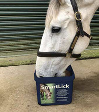 Load image into Gallery viewer, Smart Lick