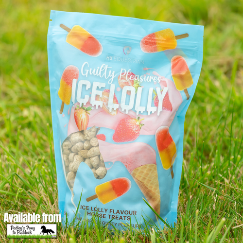 Guilty Pleasures Ice Lolly Horse Treats