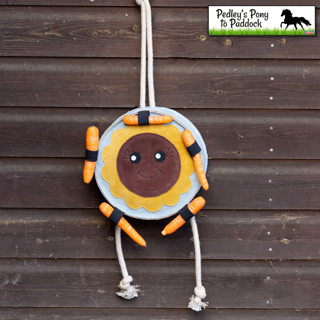 Hello Sunshine Stable Toy