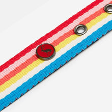 Load image into Gallery viewer, Joules Rainbow Stripe Dog Collar