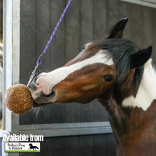 Load image into Gallery viewer, Likit GranoLo Stall Ball