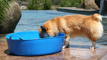 Load image into Gallery viewer, Red Gorilla Large Shallow Tub