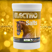 Load image into Gallery viewer, NAF Electro Salts 1kg