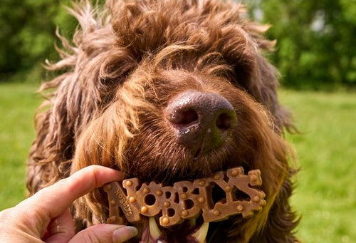 Nobblys Dental Dog Chews