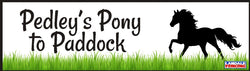 Pedley's Pony to Paddock
