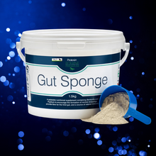 Load image into Gallery viewer, Protexin Gut Sponge