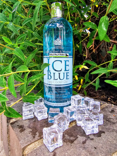 Carr & Day & Martin Ice Blue