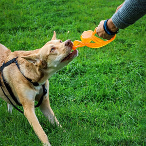 Bionic Tug n Toss