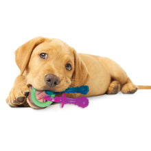 Load image into Gallery viewer, Puppy Pacifier Teething Toy