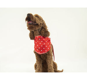 Joules Dog Neckercheif- Red Polka Dot