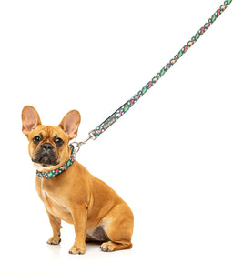 Dinosaur Land Dog Lead