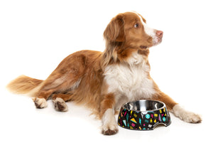 Bel Air Easy Feeder Pet Bowl