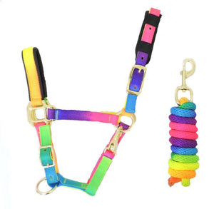 Rainbow Head Collar & Lead Rope Set