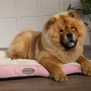 Scruffs Ellen Dog Mattress