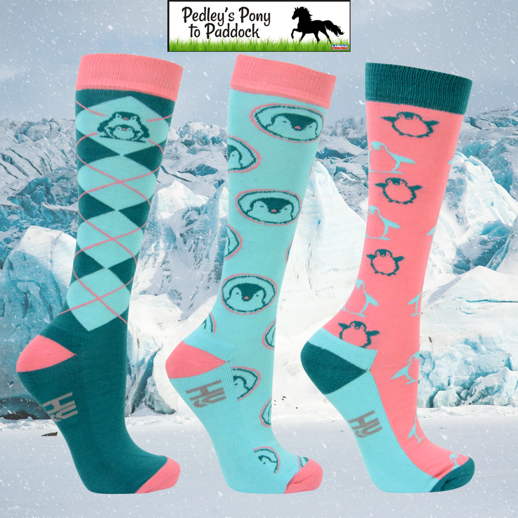 Hy Equestrian Percy Penguin Socks ( Pack of 3)