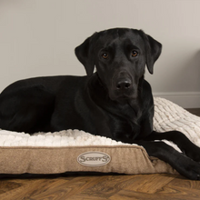 Load image into Gallery viewer, Scruffs Ellen Dog Mattress