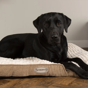 Scruffs Ellen Dog Mattress