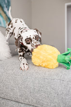 Load image into Gallery viewer, Tropical Paradise Paws Up Pineapple