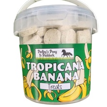 Load image into Gallery viewer, Tropicana Banana Horse Treats