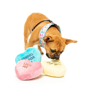 Candy Hearts 3 Pack Dog Toy