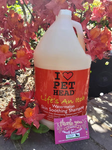 Pet Head Life's an Itch Shampoo