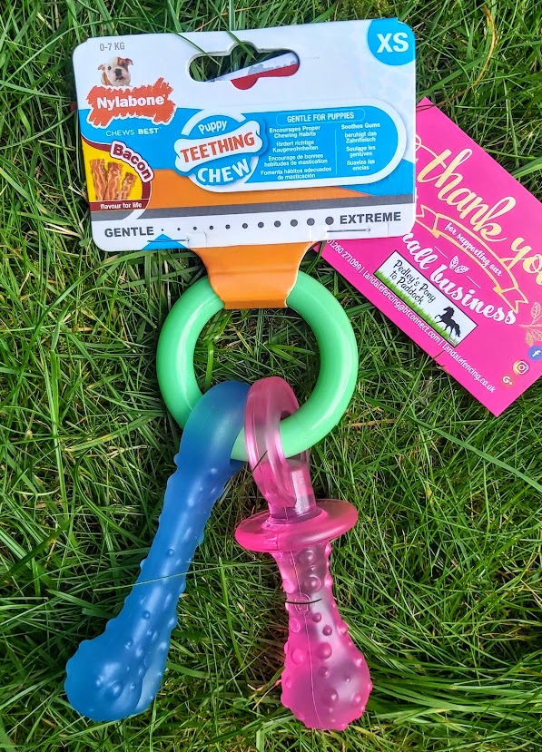 Puppy Pacifier Teething Toy