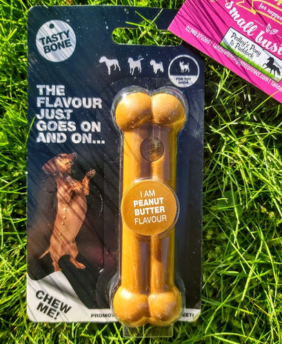 TastyBone Nylon Peanut Butter Bone