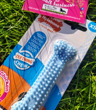 Load image into Gallery viewer, Nylabone Puppy Teething Dental