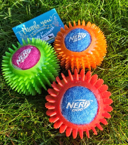 Nerf Armour Ball