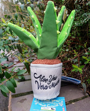 Load image into Gallery viewer, Blooming Buddies Aloe-ve You Plant