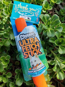 Chuckit! Ultra Fetch Stick